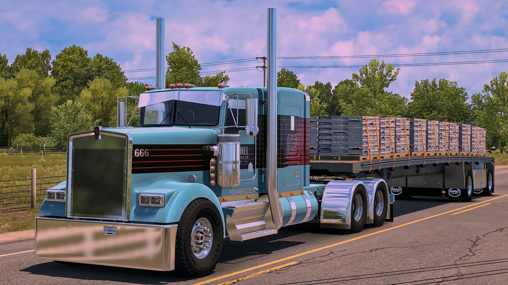 Eichel Trucking Skin for Moiza Mods W900L/B v1.0 Mod thumbnail 2