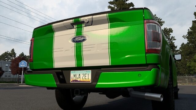 FORD F-150 – TWIN STRIPE thumbnail 2